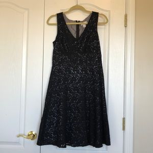Ann Taylor Loft Black Lace and Gray Dress